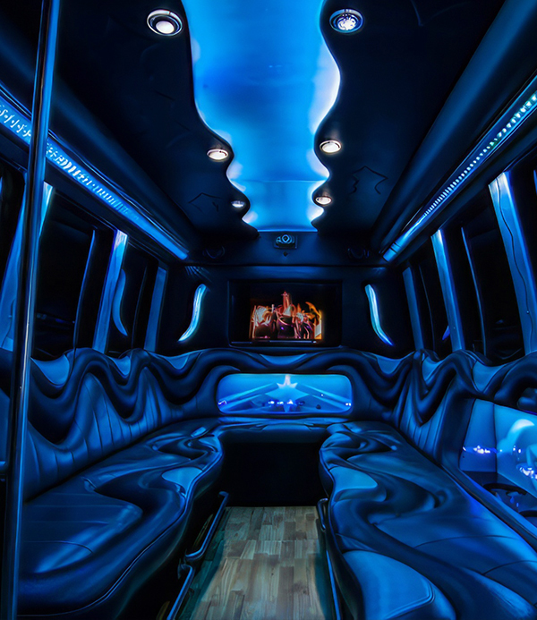 luxury mini bus