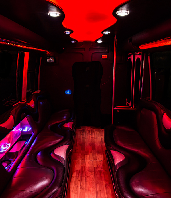 party minibus